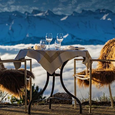 Kraeuterhotel Edelweiss Rigi Kaltbad Kültér fotó