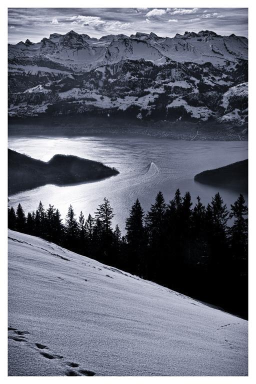Kraeuterhotel Edelweiss Rigi Kaltbad Kültér fotó