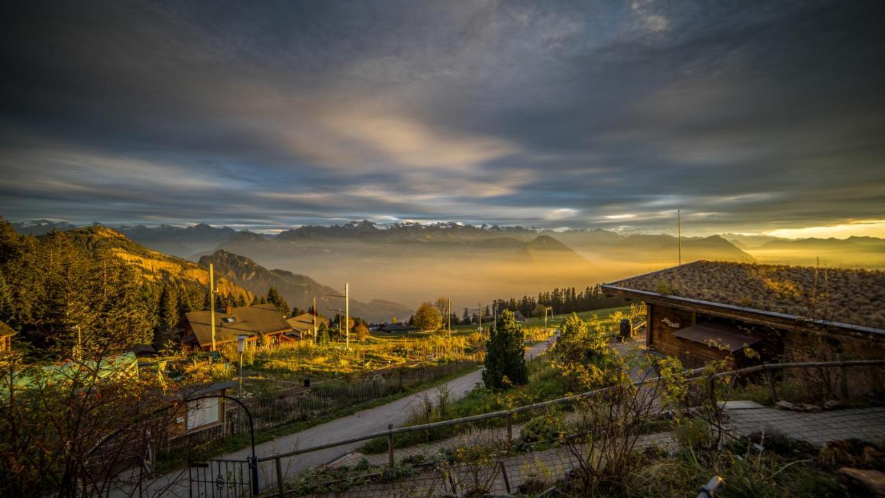 Kraeuterhotel Edelweiss Rigi Kaltbad Kültér fotó