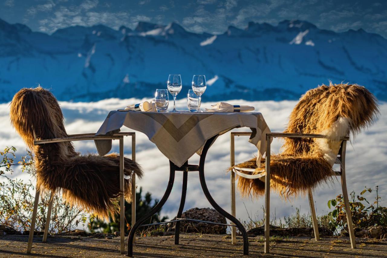 Kraeuterhotel Edelweiss Rigi Kaltbad Kültér fotó