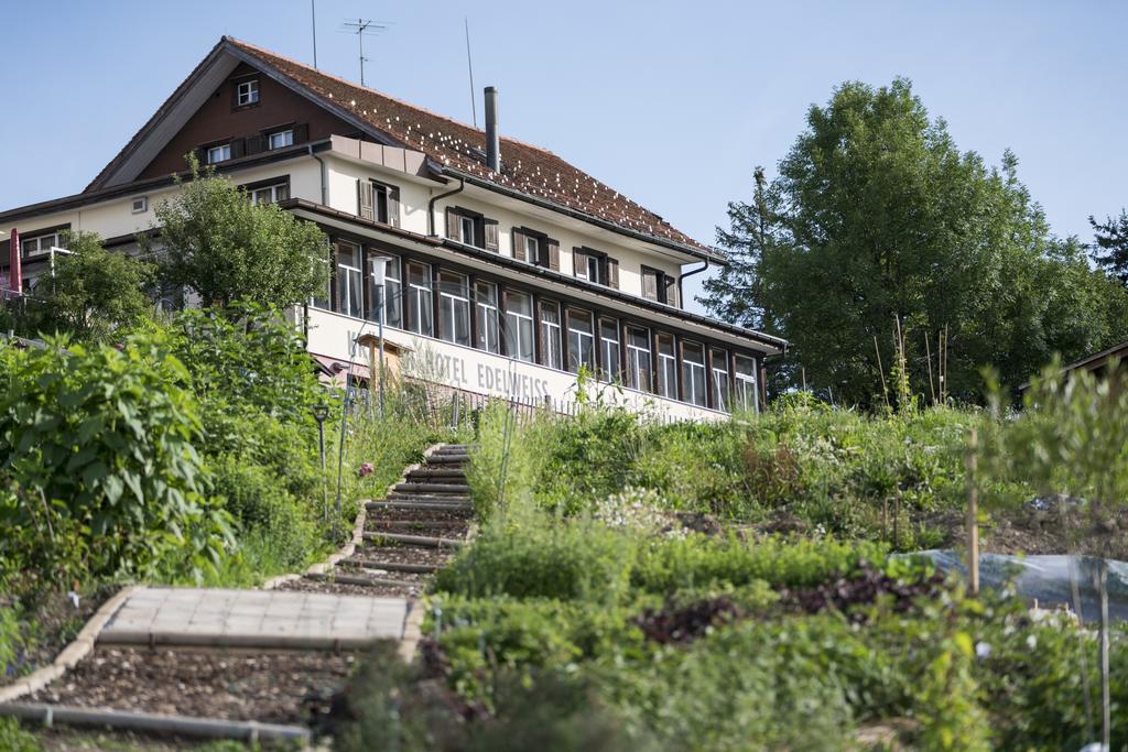 Kraeuterhotel Edelweiss Rigi Kaltbad Kültér fotó